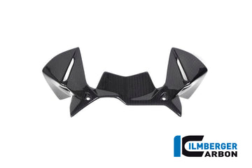 Ilmberger Carbon Fibre Windprotector For BMW R 1250 GSA 2019-22